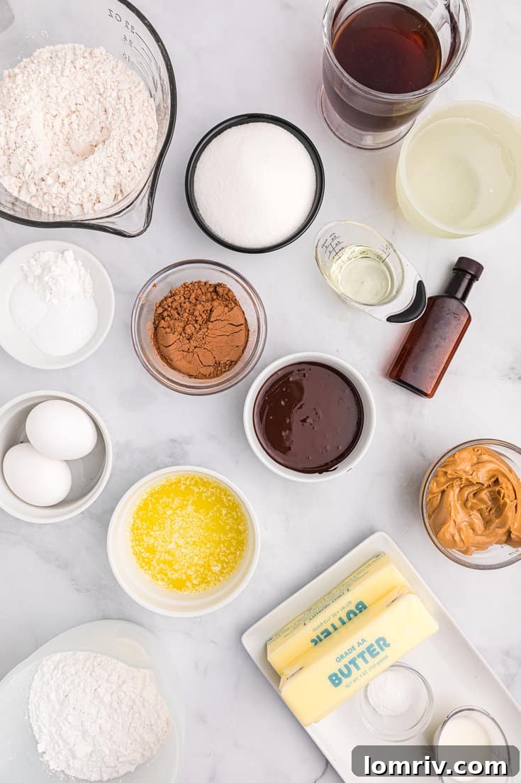 Chocolate Peanut Butter Cake ingredients for the cake