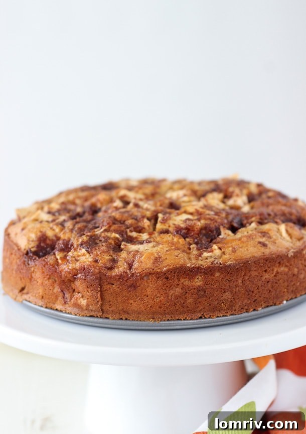 Delicious Caramel Apple Crumb Cake, moist and flavorful with cinnamon, caramel, and chopped apples—perfect for fall baking.
