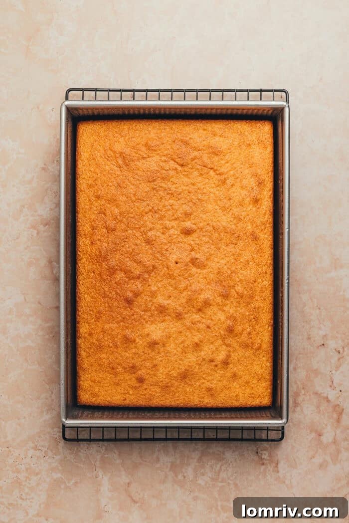The golden brown, baked tres leches cake in its pan, having cooled down.