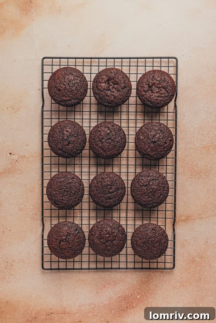 Baked chocolate cupcakes resting on a wire cooling rack.
