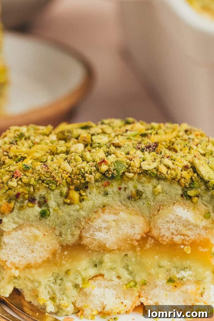 A side view of the tiramisu cake showing the lady fingers and layers of pistachio cream.