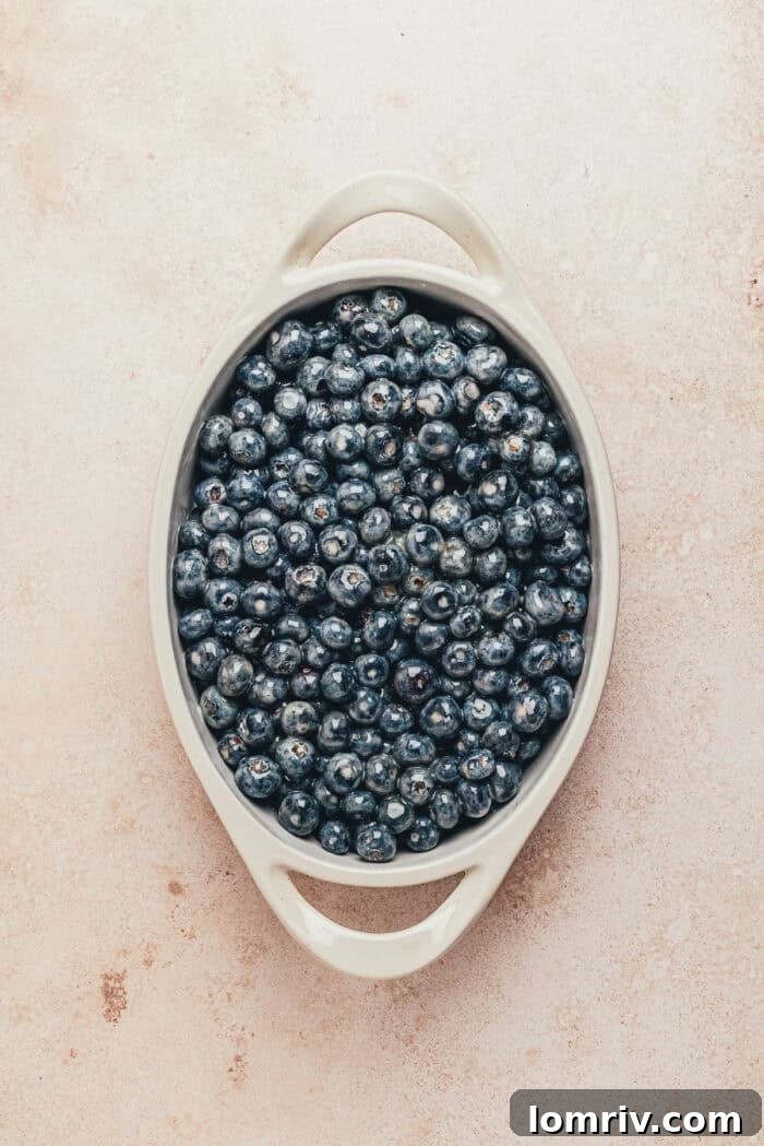 Honey-Sweetened Blueberry Cobbler Recipe with Fresh Berries 11 Blueberries in a large oval baking dish.