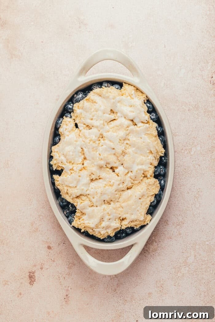 Honey-Sweetened Blueberry Cobbler Recipe with Fresh Berries 15 The top of the cobbler brushed with milk and sprinkled with sugar.