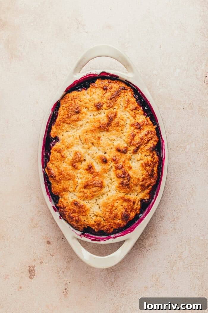 Honey-Sweetened Blueberry Cobbler Recipe with Fresh Berries 16 The baked blueberry cobbler in an oval baking dish.