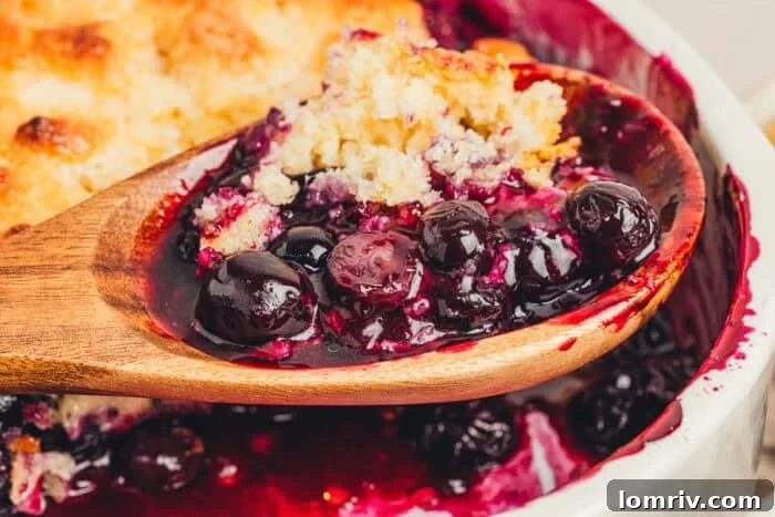 Honey-Sweetened Blueberry Cobbler Recipe with Fresh Berries 17 A spoon lifting the blueberry filling out of the cobbler.