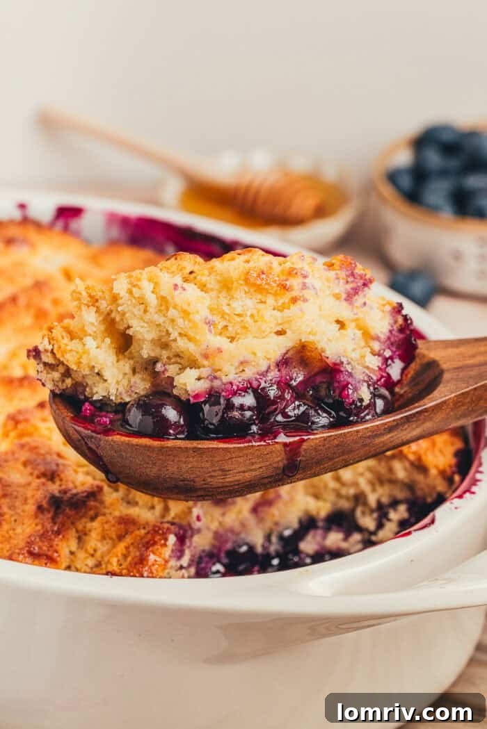 Honey-Sweetened Blueberry Cobbler Recipe with Fresh Berries 3 A scoop of blueberry cobbler being scooped out of the cobbler.