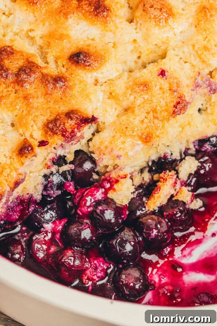 Honey-Sweetened Blueberry Cobbler Recipe with Fresh Berries 4 A bowl with a serving of blueberry cobbler and a spoon.
