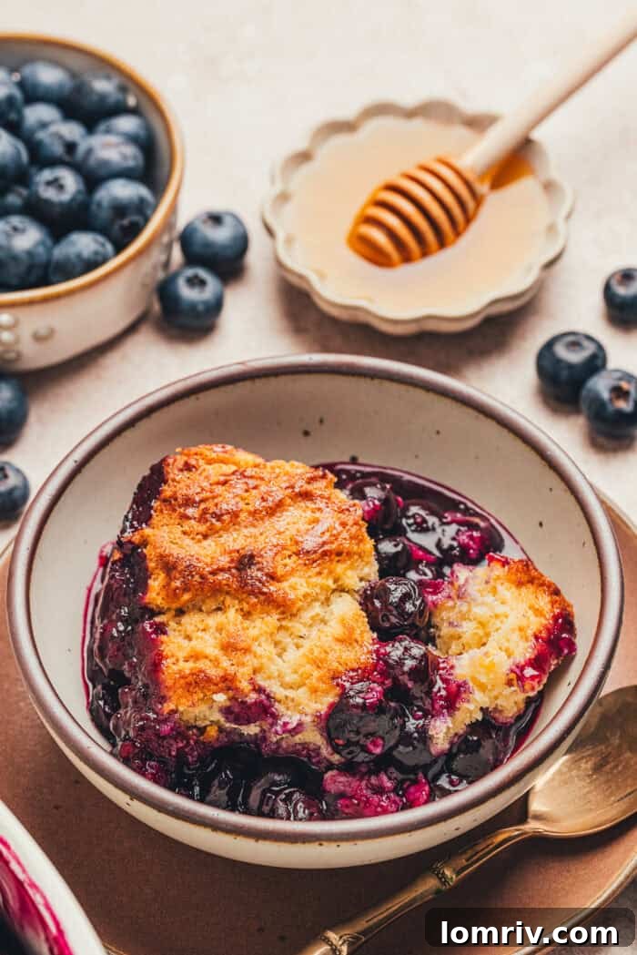 Honey-Sweetened Blueberry Cobbler Recipe with Fresh Berries 5 A bowl with a serving of blueberry cobbler.